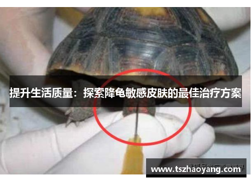 提升生活质量：探索降龟敏感皮肤的最佳治疗方案