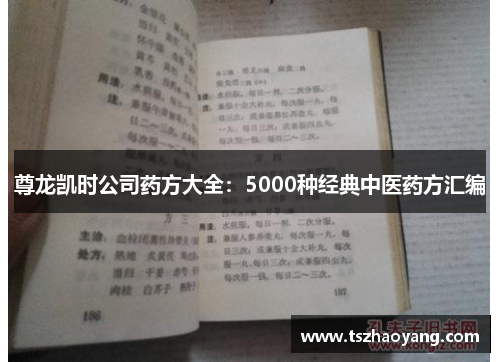 尊龙凯时公司药方大全：5000种经典中医药方汇编