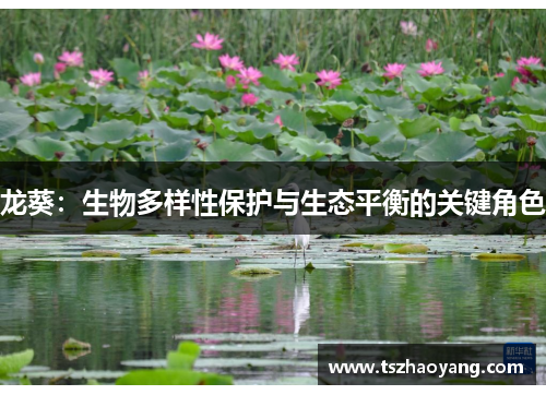 龙葵：生物多样性保护与生态平衡的关键角色